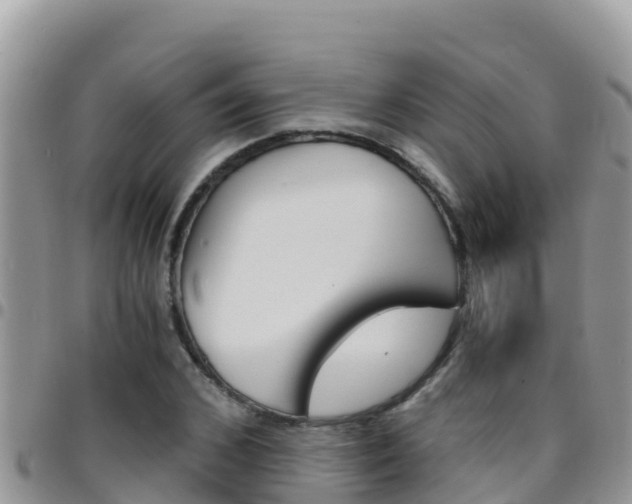 X0000096200976200801181027