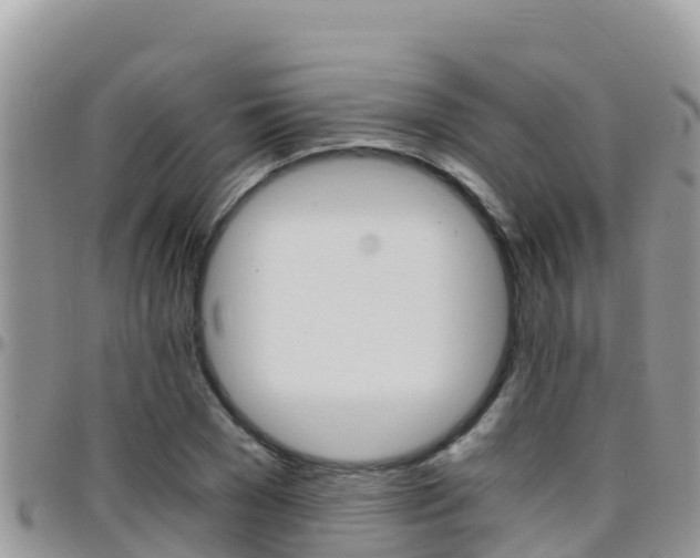 X0000096200977200801181027