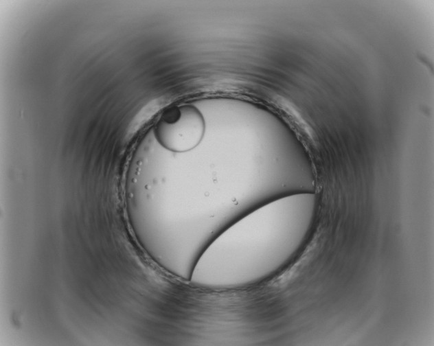 X0000096200978200801181027