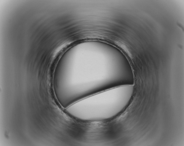 X0000096200979200801181027
