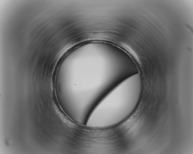 X0000096200980200801181027
