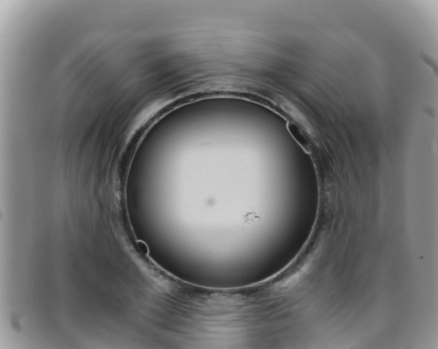 X0000096200981200801181027