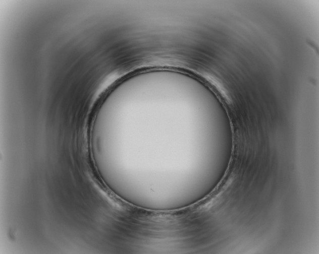 X0000096200982200801181027