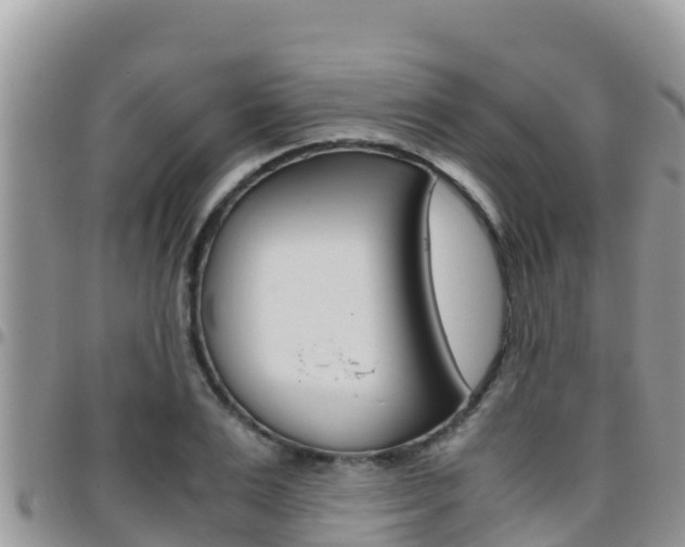 X0000096200983200801181027