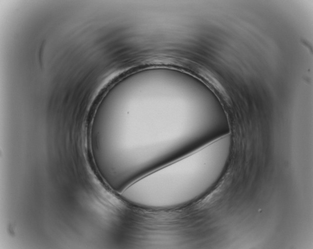 X0000096200984200801181027
