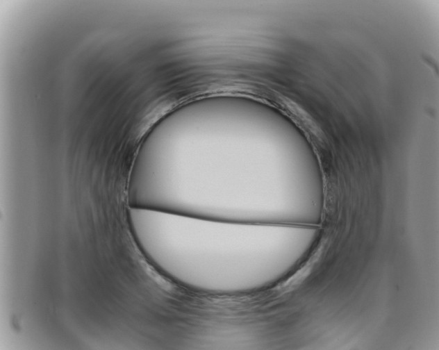 X0000096200985200801181027