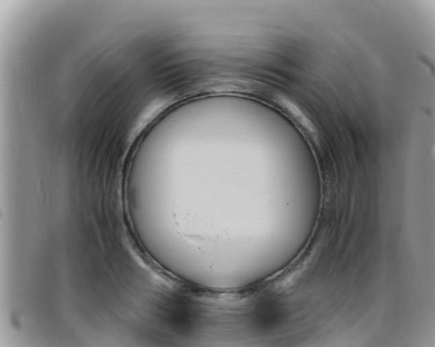 X0000096200986200801181027