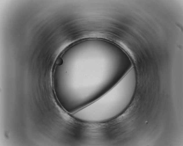 X0000096200988200801181027