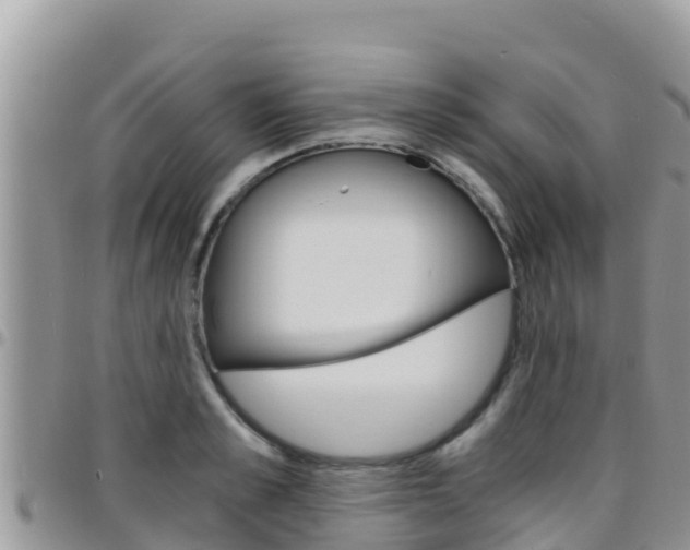 X0000096200989200801181027