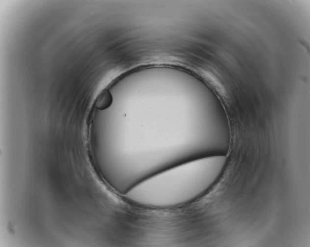 X0000096200990200801181027