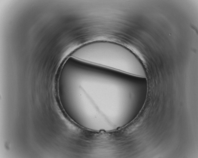 X0000096200991200801181027