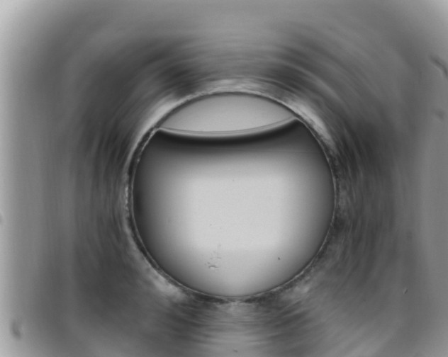 X0000096200992200801181027