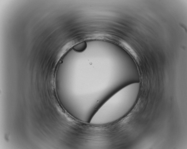 X0000096200994200801181027