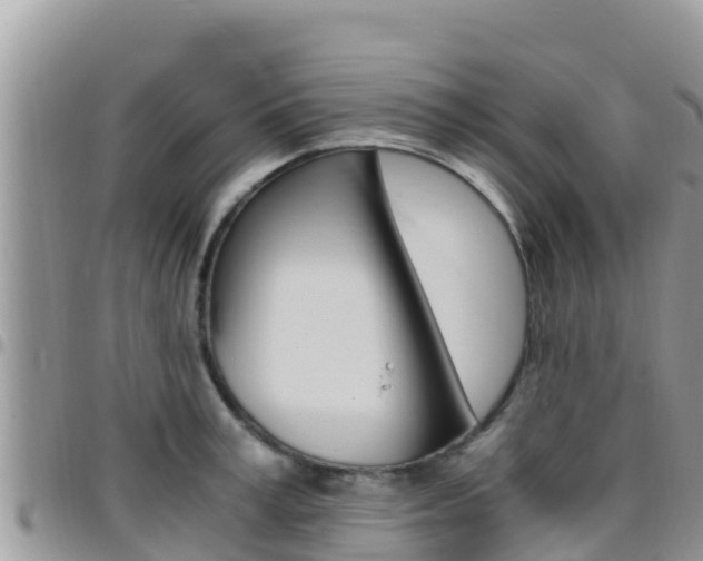 X0000096200995200801181027