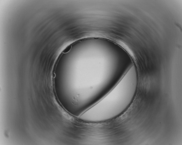 X0000096200996200801181027
