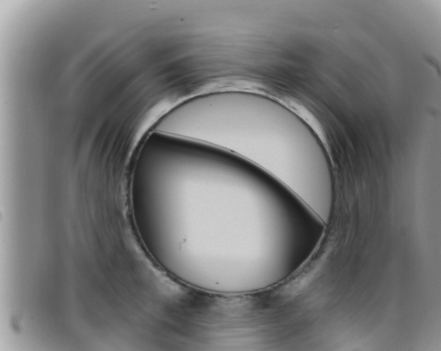 X0000096200997200801181027