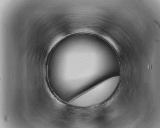 X0000096200999200801181027