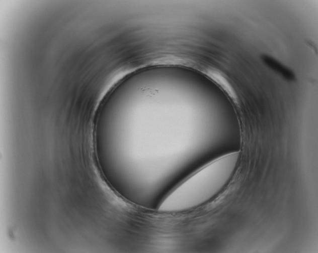 X0000096201000200801181027