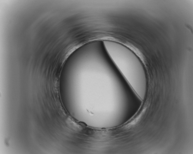 X0000096201001200801181027