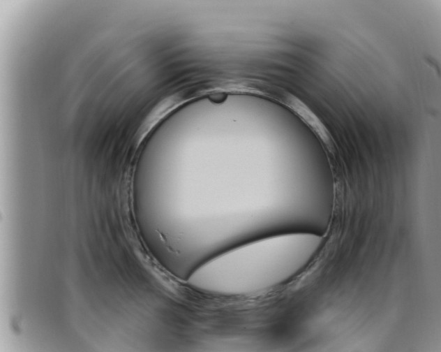 X0000096201002200801181027
