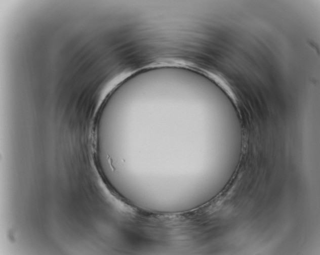 X0000096201003200801181027