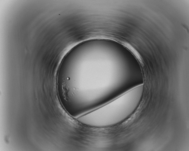 X0000096201004200801181027