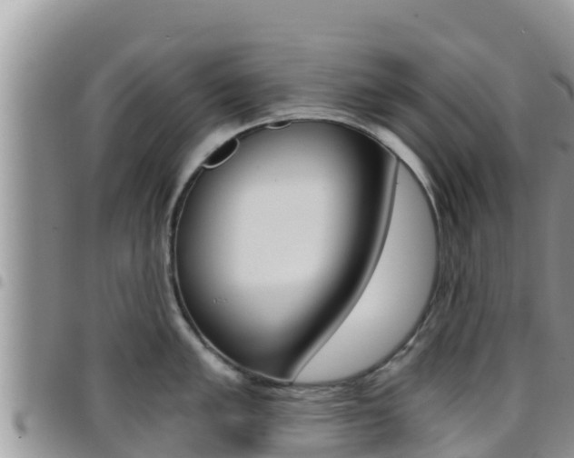 X0000096201005200801181027