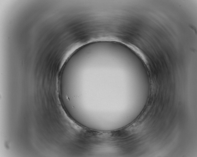 X0000096201006200801181027