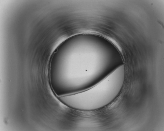 X0000096201007200801181027