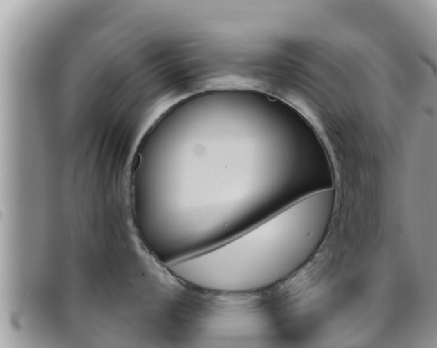 X0000096201008200801181027