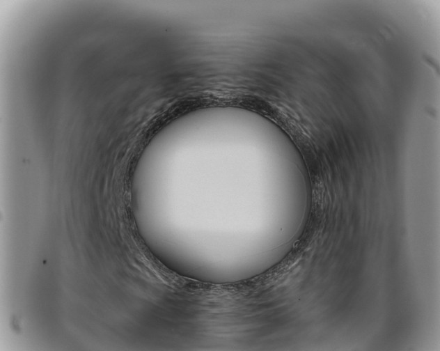 X0000096201009200801181026