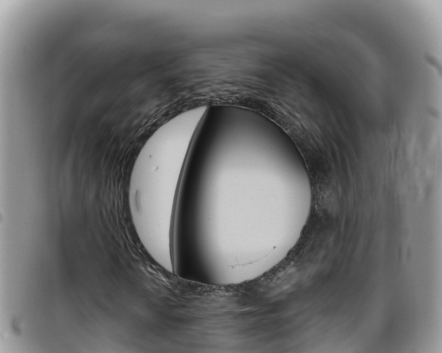X0000096201010200801181026