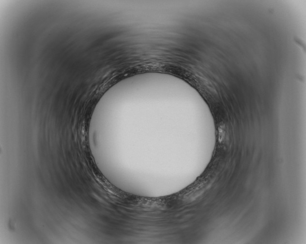 X0000096201011200801181026