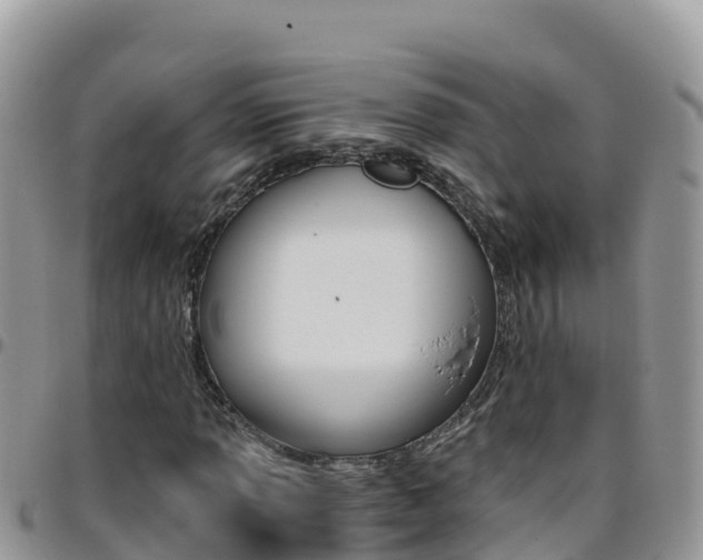 X0000096201013200801181026