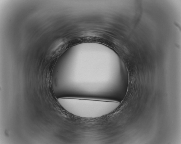 X0000096201014200801181026