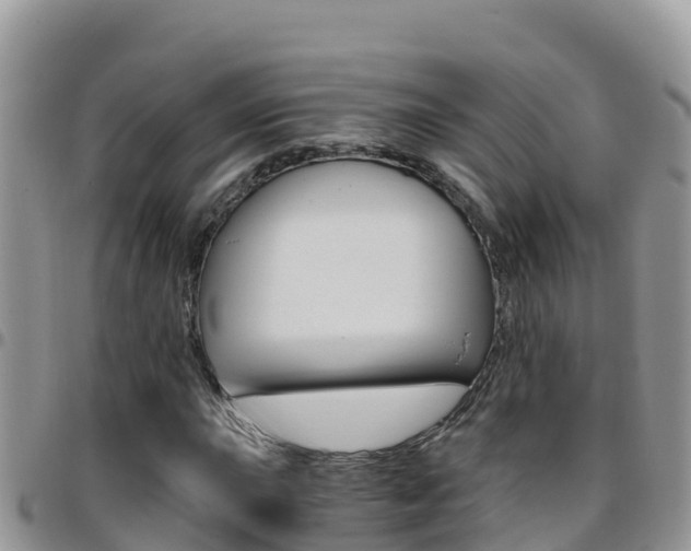 X0000096201015200801181026
