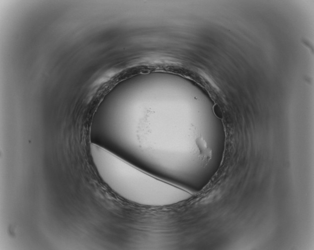X0000096201016200801181026