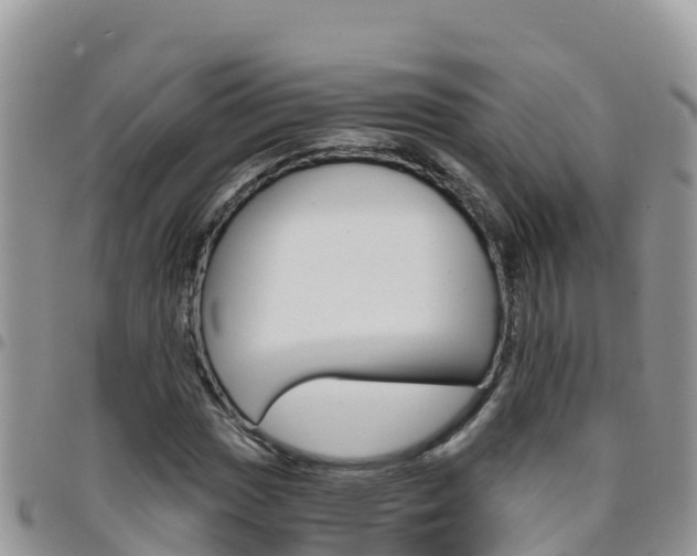 X0000096201017200801181026