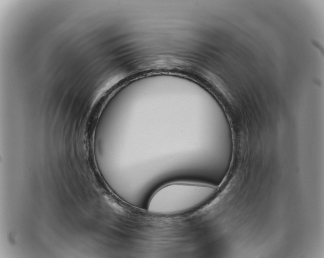 X0000096201018200801181026