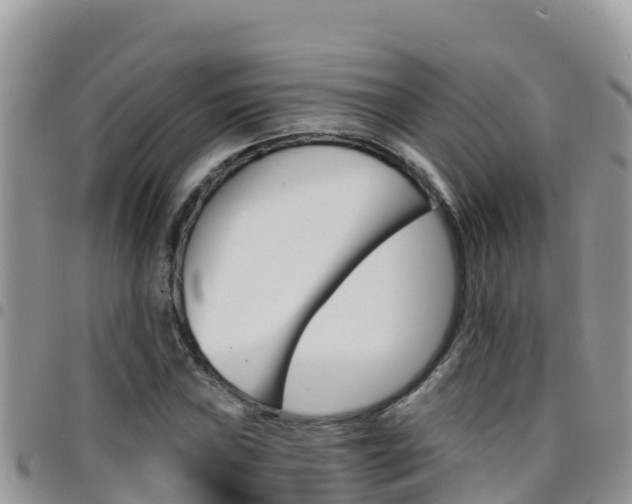 X0000096201019200801181026