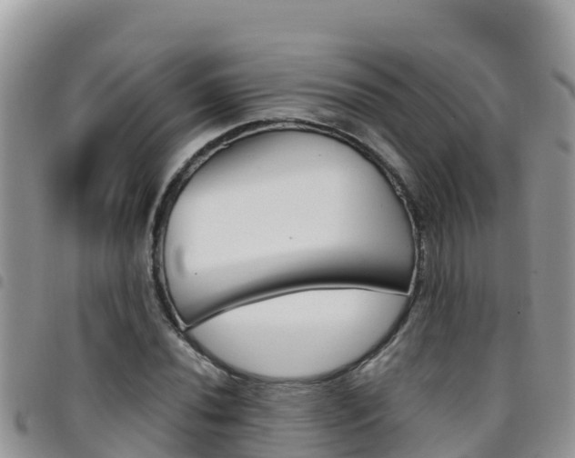 X0000096201020200801181026