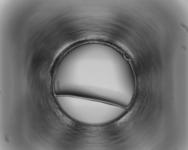 X0000096201021200801181026