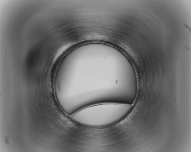 X0000096201022200801181026