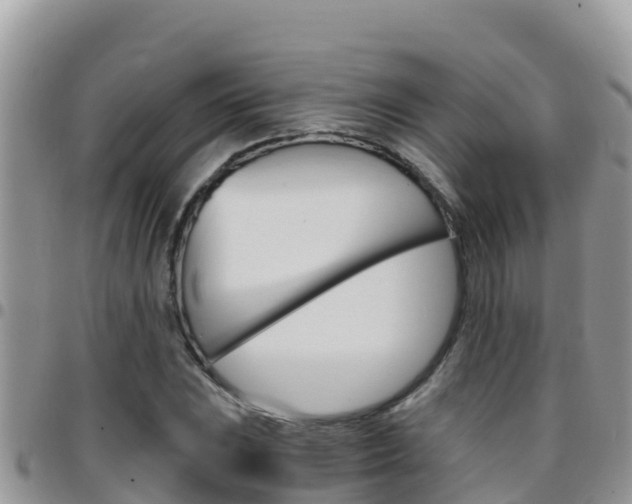 X0000096201023200801181026