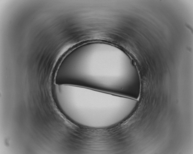 X0000096201024200801181026