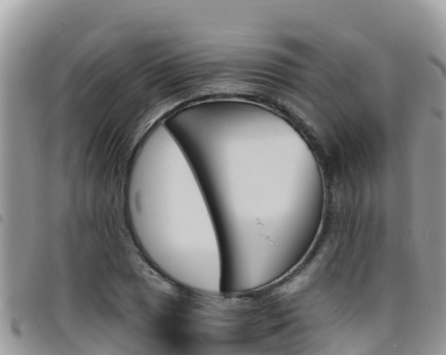X0000096201025200801181026