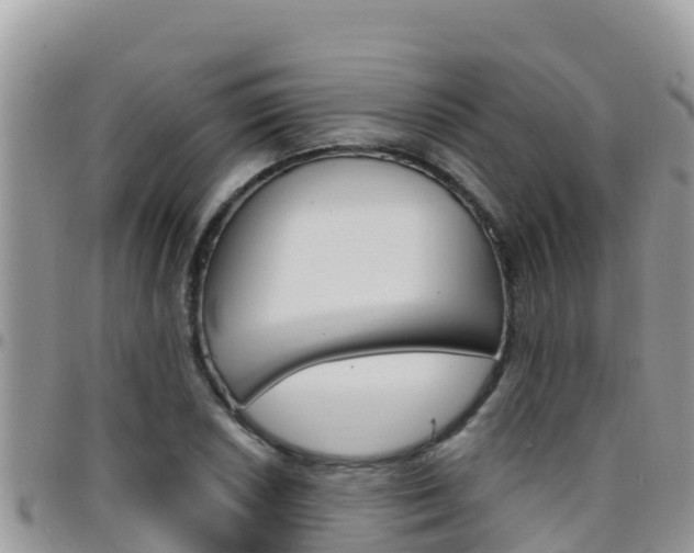 X0000096201026200801181026