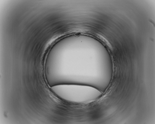 X0000096201027200801181026