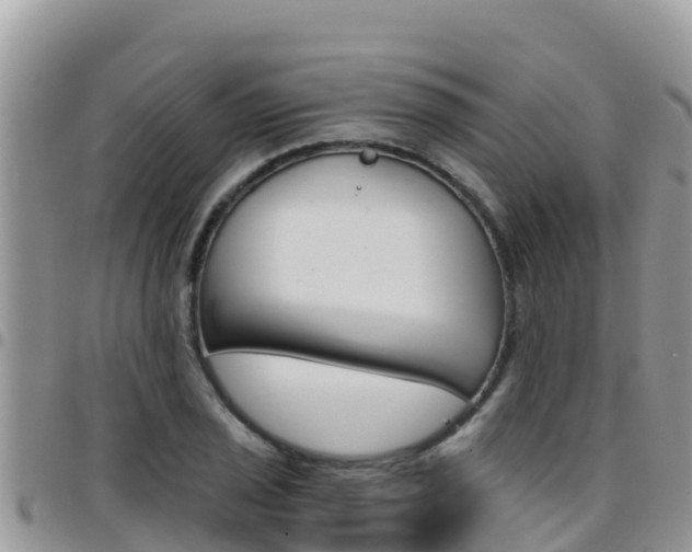 X0000096201029200801181026