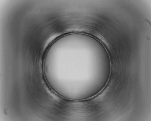 X0000096201030200801181026